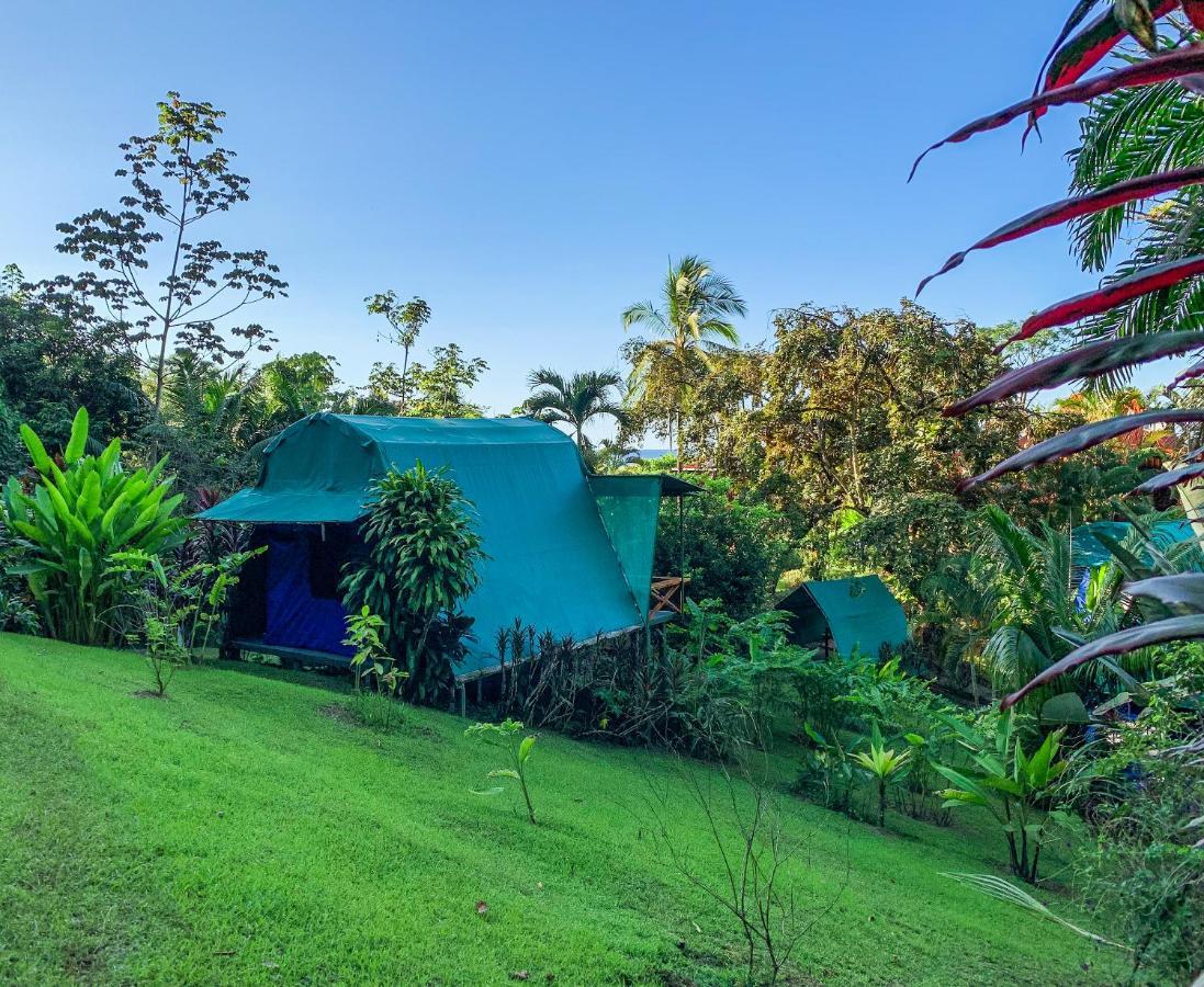 Las Caletas Lodge Drake Bay Exterior photo