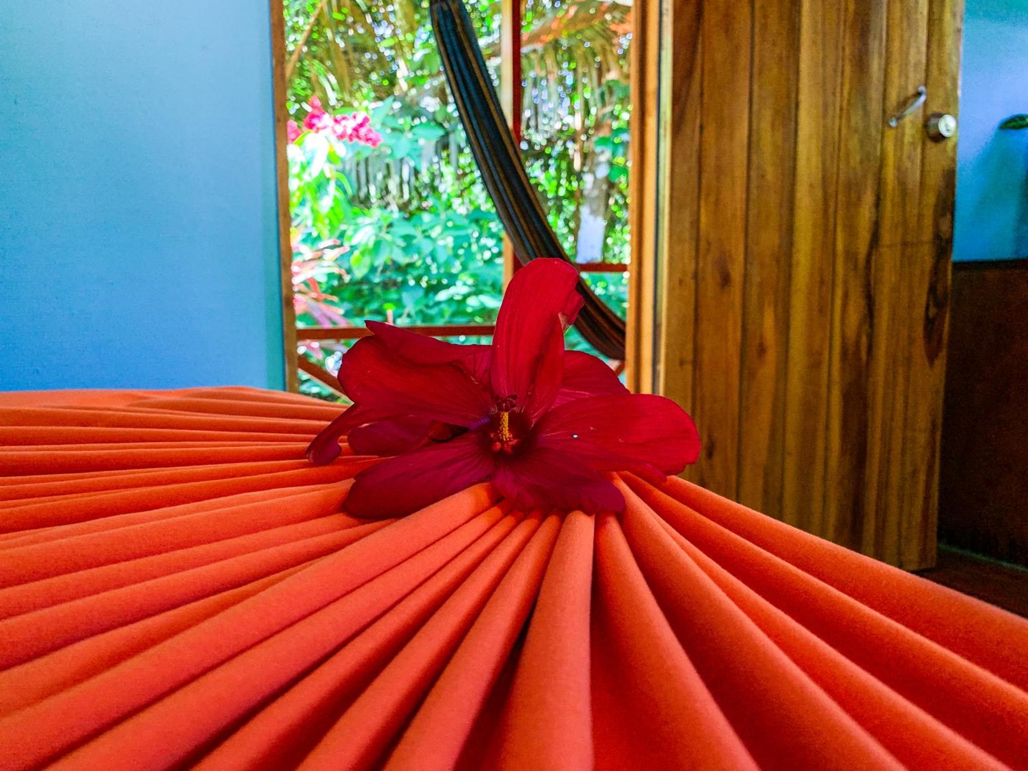 Las Caletas Lodge Drake Bay Room photo